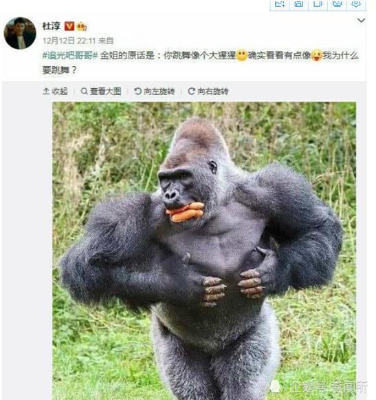  杜淳舞蹈太尬,金星评论像大猩猩,本人自嘲我为什么要跳舞