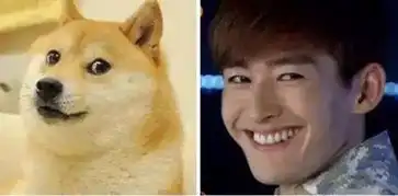 整个过程高潮丨孙红雷和黄渤跟狗狗撞脸的瞬间 整个过程高潮丨孙红雷和黄渤跟狗狗撞脸的瞬间