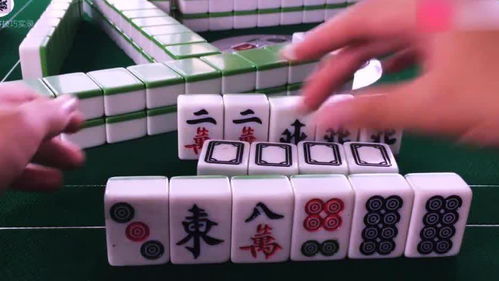  好吧,运气这盘不站在我这边,麻将的出牌顺序是很关键