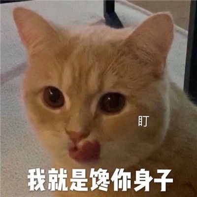 适合谈恋爱发的表情包合集我太馋你的身子了