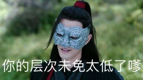  有什么有趣的陈情令表情包