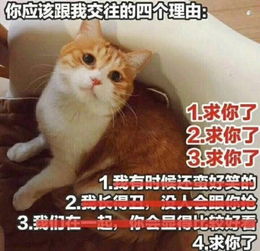 猫的表情包生无可恋归去