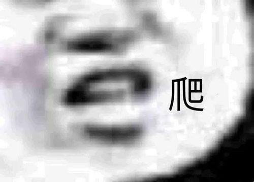 太真实了熊猫表情包哈哈
