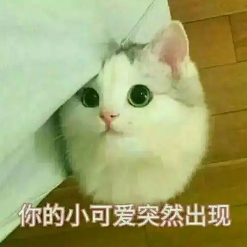 旅行结束了,成了回到笼子里的小鸟知乎 旅行结束了,成了回到笼子里的小鸟知乎