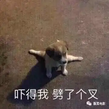 无聊中的自给自足 无聊中的自给自足