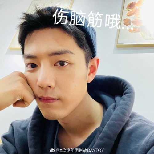  小猫咪竟是我自己肖战与伤脑筋小猫咪撞脸证据有