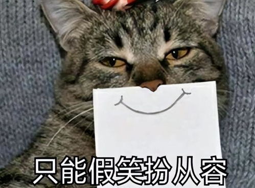  一部分低年级学生,已经过上了养老院的生活