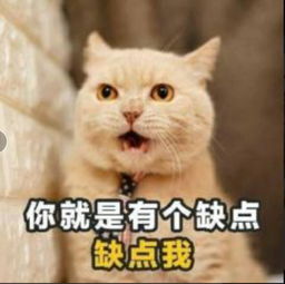  萌萌哒小仙女撒娇专用表情包,男票看后心都萌化了