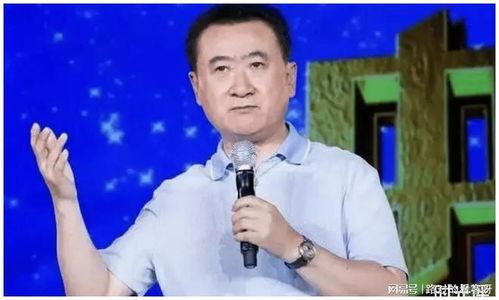  王健林千把块的包包也叫奢侈品你们别听老外忽悠