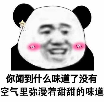 你没对象表情包图片废弃