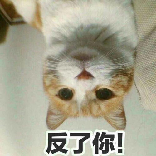  去印尼放贷没那么简单印尼监管机构连国字号金融企业也不放过