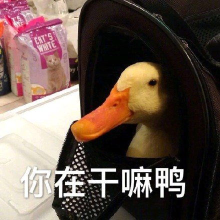 快乐薯片表情包我爱