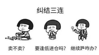  最热个股解读