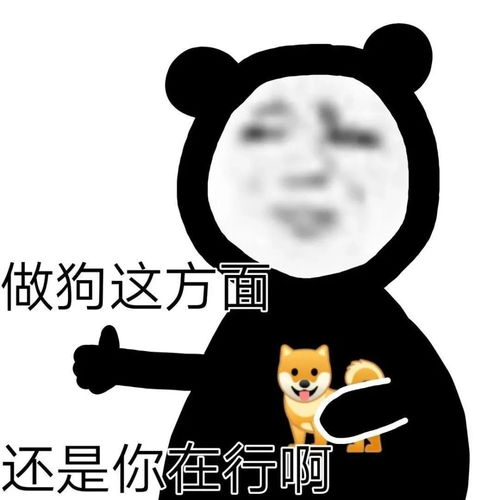 给男朋友道歉表情包时男