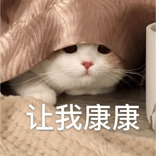  前方高能一股热词涌入山师
