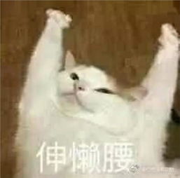恩想你想你想你表情包兰
