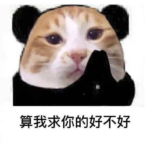 表情包形容你专业图片小