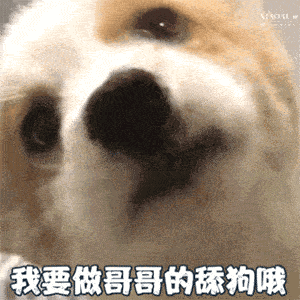  男人爱猛犬有6个等级,你在哪一级