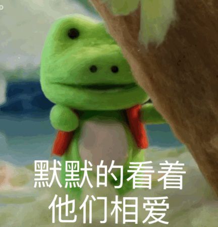  有人认识这个小鳄鱼吗