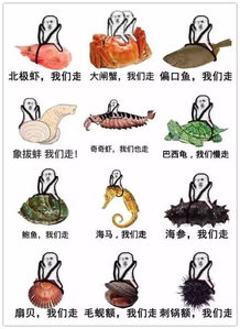  皮皮虾我们走海鲜家族成2017第一网红