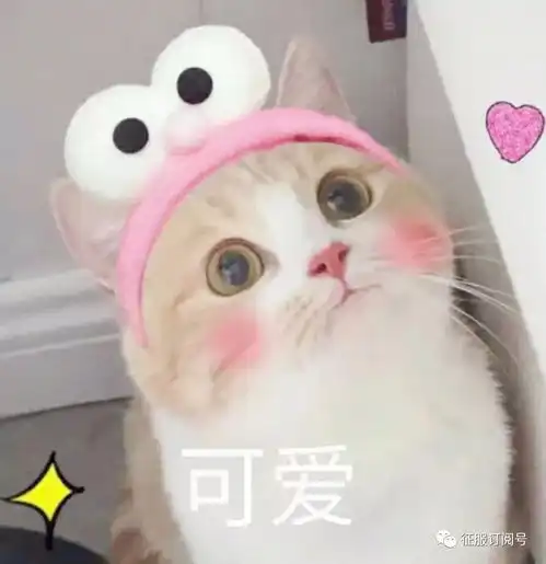 猫咪呕吐表情包粉嘟嘟
