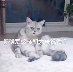  那些生活小细节足以摧毁你一天的好心情
