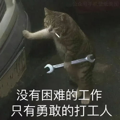  打工人表情包工友们,搬砖快来