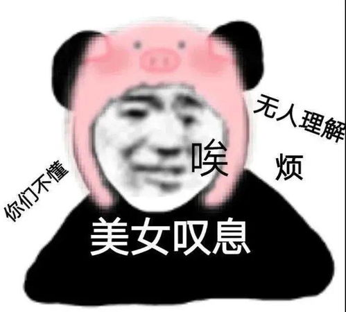  熊猫头表情包我懂,我会照顾好嫂子的