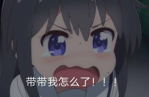  币圈一哥马斯克,为何带头叛变