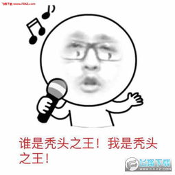 孙亚龙笑笑表情包下载飞翔下载