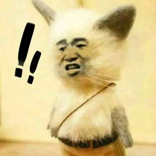 欺负你表情包动图生气