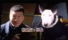 中日明星集体撞脸羊驼,居然还有明星像海象 中日明星集体撞脸羊驼,居然还有明星像海象