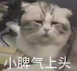  为什么有时候用护肤品感觉没有效果