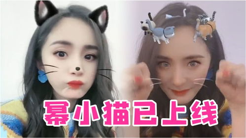  高萌反差妩媚女神杨幂化身小喵咪,可爱表情太过撩人