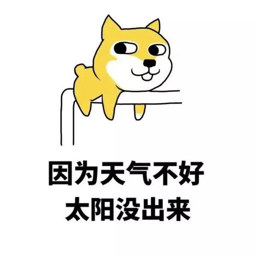  热门搞笑表情包你怎么还不谈恋爱这些回答太绝了