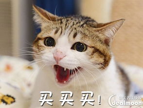  小礼怡情七夕送礼之美妆指南价格不贵又贴心北美省钱快报