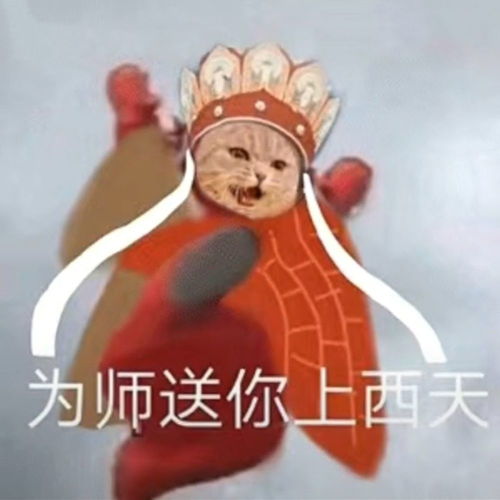  表情包我果然是甜妹