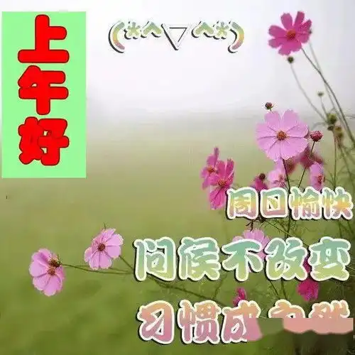  漂亮的上午好动态表情包,大家上午好,祝愿朋友天天笑口常开
