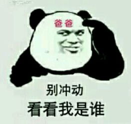 签到表情包的意思补签