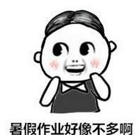  作业表情包