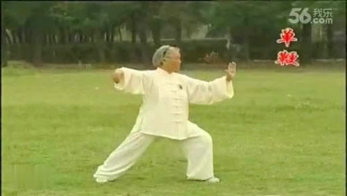  扎西大师杨氏太极拳