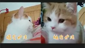  我曾经也是个中分,直到学习夺走了我的发际线