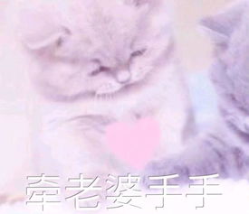  软妹子表情包你是要讲理还是要我