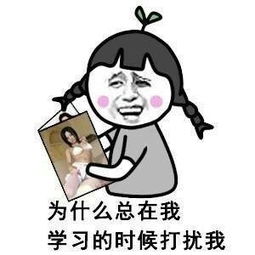  超污表情包gif