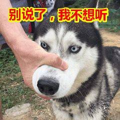  桐庐今日大雪气温却要升到还有个坏消息