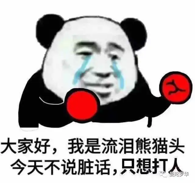 兰兰无话可说表情包闽北