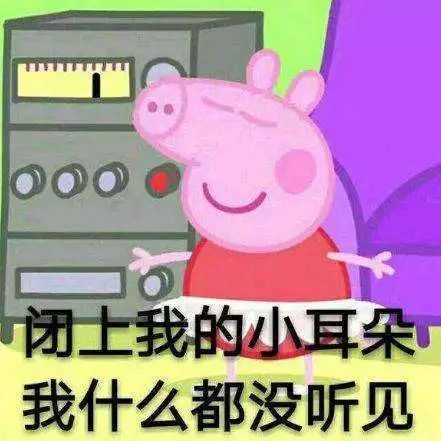  掌声送给社会人小猪佩奇的远房亲戚等你来破案