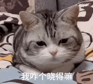 热门表情包大合集丨烦死你啦 热门表情包大合集丨烦死你啦