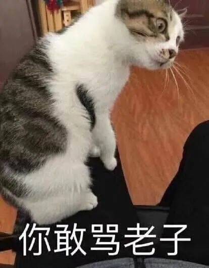  无聊图热榜1230