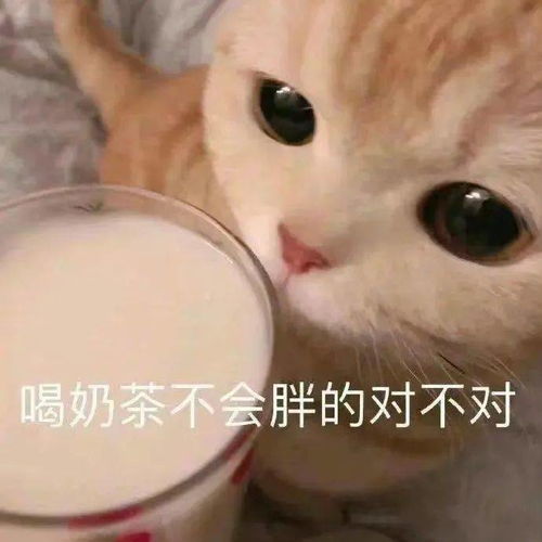 熊猫动漫喝奶茶表情包